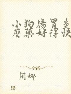 小狗肠胃炎吃什么药好得快