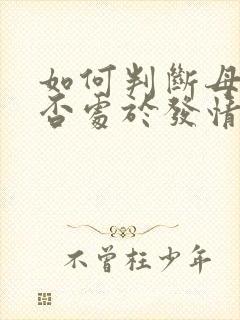 如何判断母猫是否处于发情期