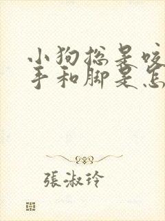 小狗总是咬主人手和脚是怎么了