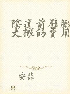 阴道前壁膨出术大概的费用