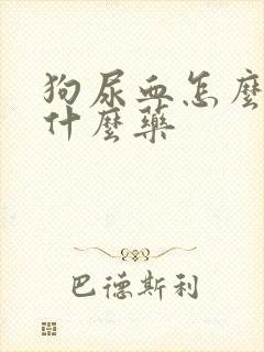 狗尿血怎么治吃什么药