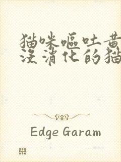 猫咪呕吐黄水和没消化的猫粮