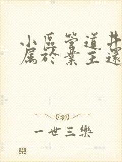 小区管道井漏水属于业主还是物业