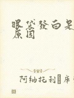 眼袋发白是什么原因