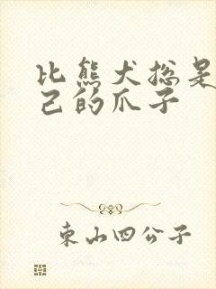 比熊犬总是舔自己的爪子