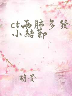 ct两肺多发微小结节