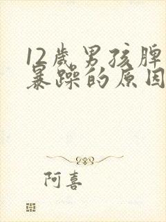 12岁男孩脾气暴躁的原因