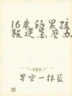 16岁的男孩子叛逆怎么办