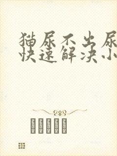 猫尿不出尿怎么快速解决小妙招