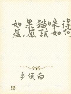 如果猫咪得了猫瘟,应该如何治疗?