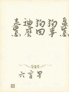 泰迪狗狗鼻子干怎么回事怎么办