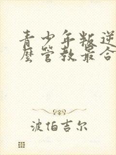 青少年叛逆期怎么管教最合适男孩