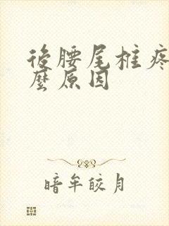 后腰尾椎疼是什么原因