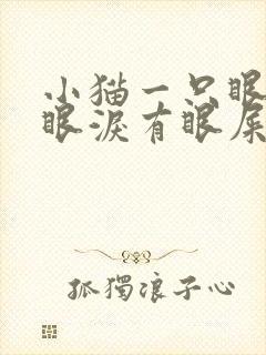 小猫一只眼睛流眼泪有眼屎怎么回事