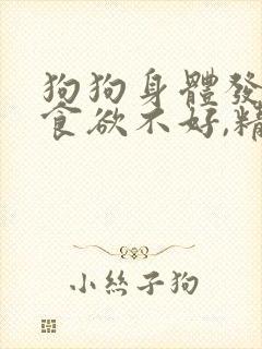 狗狗身体发抖,食欲不好,精神不振