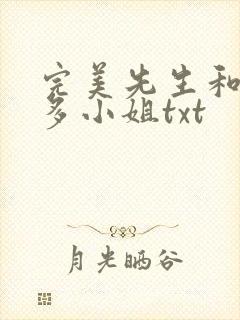 完美先生和差不多小姐txt