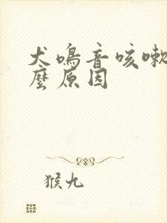 犬鸣音咳嗽是什么原因