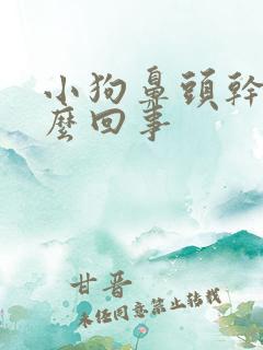 小狗鼻头干是怎么回事