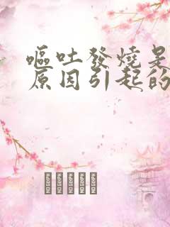 呕吐发烧是什么原因引起的