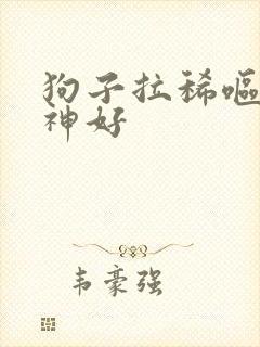 狗子拉稀呕吐精神好