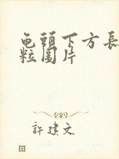 龟头下方长小肉粒图片