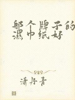 那个牌子的婴儿湿巾纸好