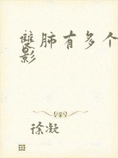 双肺有多个结节影