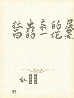 拉出来的屎有白白的一坨是啥