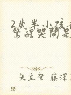 2岁半小孩夜里惊醒哭闹是什么原因