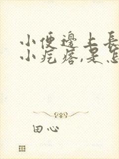 小便边上长了个小疙瘩,是怎么回事?