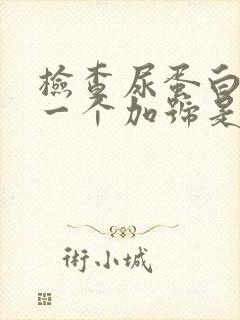 检查尿蛋白质有一个加号是怎么回事