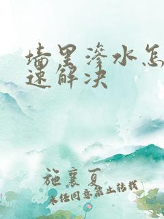 墙里渗水怎么快速解决