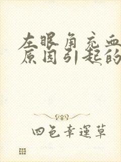 左眼角充血什么原因引起的