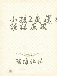 小孩2岁还不会说话原因