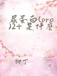 尿蛋白(pro)2+ 是什么意思