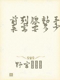 前列腺动手术下来需要多少钱