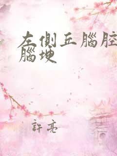 左侧丘脑腔隙性脑埂