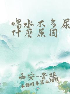 喝水不多尿多是什么原因