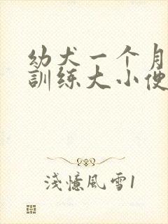 幼犬一个月怎么训练大小便