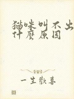 猫咪叫不出声是什么原因