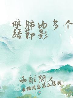 双肺内多个微小结节影