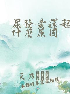 尿发黄还起泡是什么原因