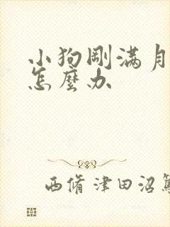 小狗刚满月拉稀怎么办