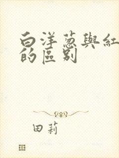 白洋葱与红洋葱的区别