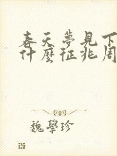 春天梦见下雪是什么征兆周公解梦