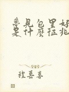 梦见包里好多钱是什么征兆