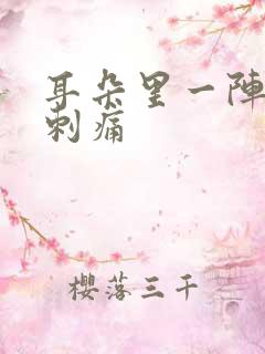 耳朵里一阵一阵刺痛