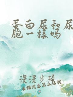 蛋白尿和尿白细胞一样吗