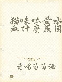 猫咪吐黄水还有血什么原因