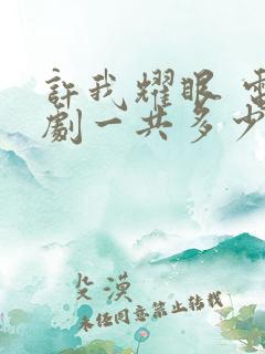 许我耀眼 电视剧一共多少集